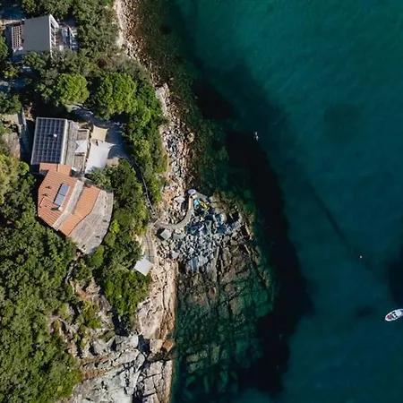 Mare Di Spartaia Procchio