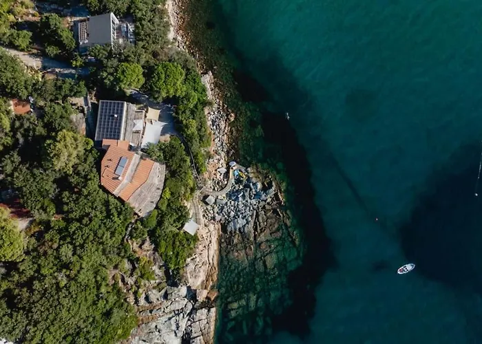 Mare Di Spartaia Procchio